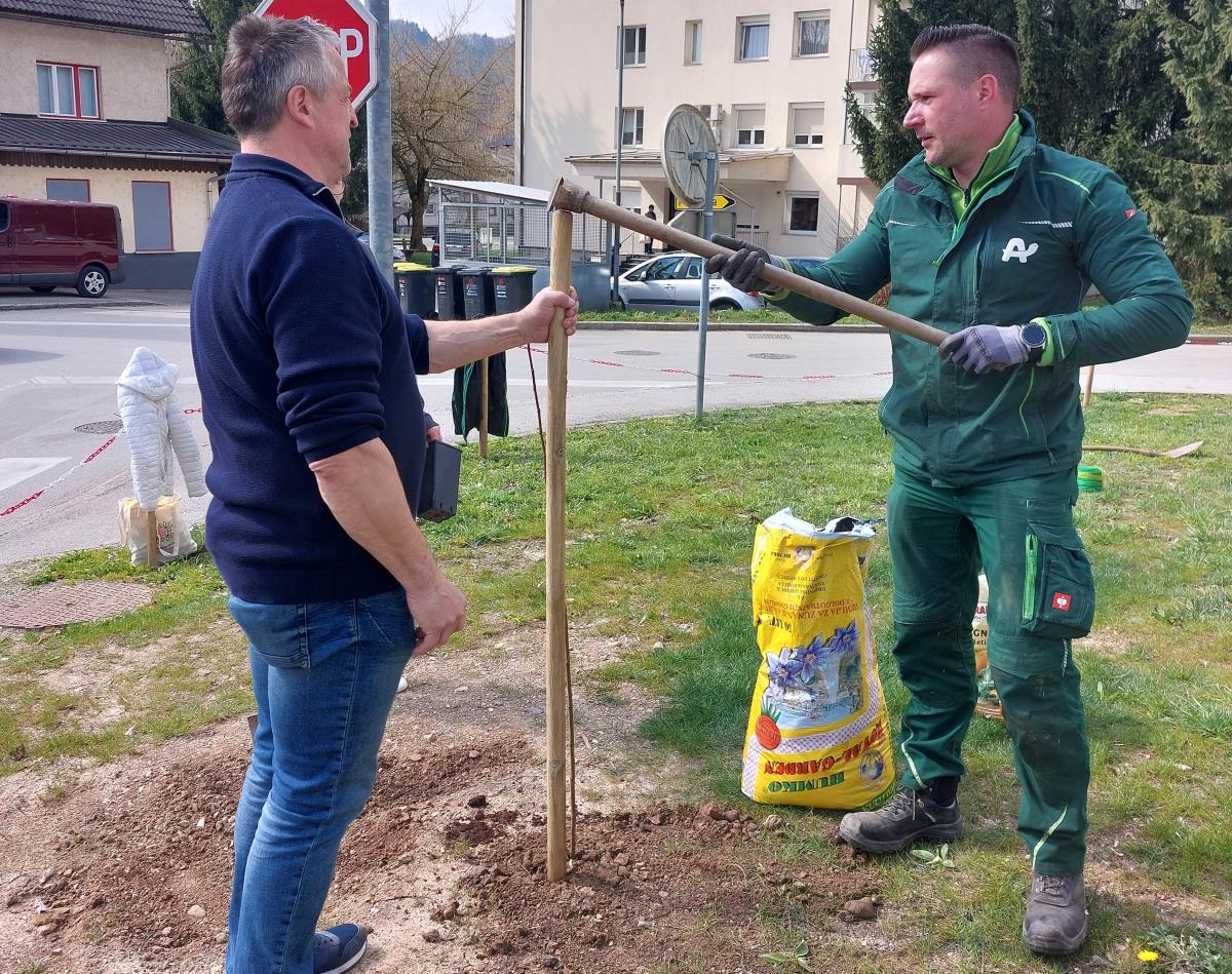 20260320_medovite2026_3_sajenje spl